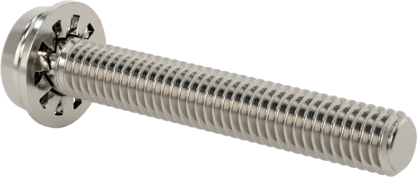 Paslanmaz Çelik Silindir Başlı Vidalar, İç Dişli Pul, M3 x 0.5 mm Dişli, 20 mm Uzunluk
