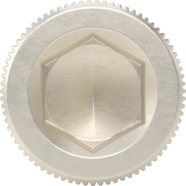 Gümüş Kaplama 18-8 Paslanmaz Çelik Alyan Başlı Vidalar, 2-56 Diş Boyutu, 1/8" Uzunluk