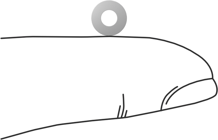 PTFE Plastik Pul, 3 Numaralı Vida Boyutu için, 0.116" İç Çap, 0.250" Dış Çap