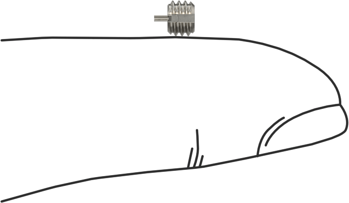 18-8 Paslanmaz Çelik Anahtar Kilitli Ek Parçalar, İnce Cidarlı, M2 x 0.4 mm Diş, 3 mm Takılı Uzunluk