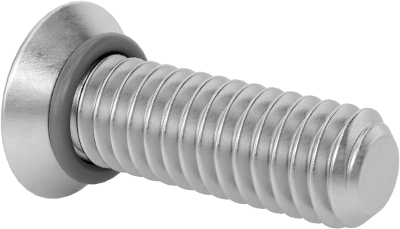 Sızdırmaz 316 Paslanmaz Çelik Phillips Havşa Başlı Vidalar, Viton® O-Ringli, M2.5 x 0.45 mm Diş Boyutu, 8 mm Uzunluk