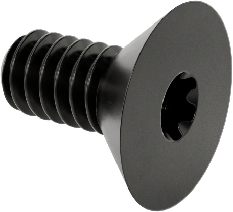 Siyah Oksit Alaşımlı Çelik Torx Havşa Başlı Vidalar, 2-56 Diş Boyutu, 3/16" Uzunluk