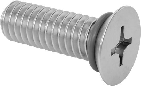 Sızdırmaz 316 Paslanmaz Çelik Phillips Havşa Başlı Vidalar, Viton® O-Ringli, M2.5 x 0.45 mm Diş Boyutu, 8 mm Uzunluk