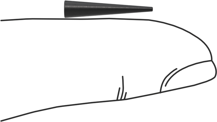 Kimyasal Dirençli EPDM Konik Tapa, 3/64" ila 1/16" İç Çap için