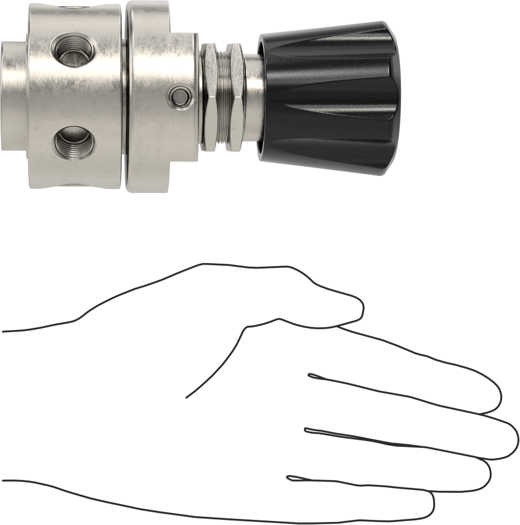 Temizlenmiş ve Torbalı Basınç Düzenleme Valfi, Panele Monte, 316 Paslanmaz Çelik Diyafram, 1/2 NPT, 0-100 PSI