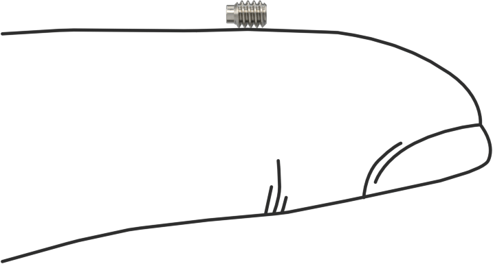 Uzatılmış Uçlu Setskur, 18-8 Paslanmaz Çelik, 2-56 Diş, 1/8" Uzunluk