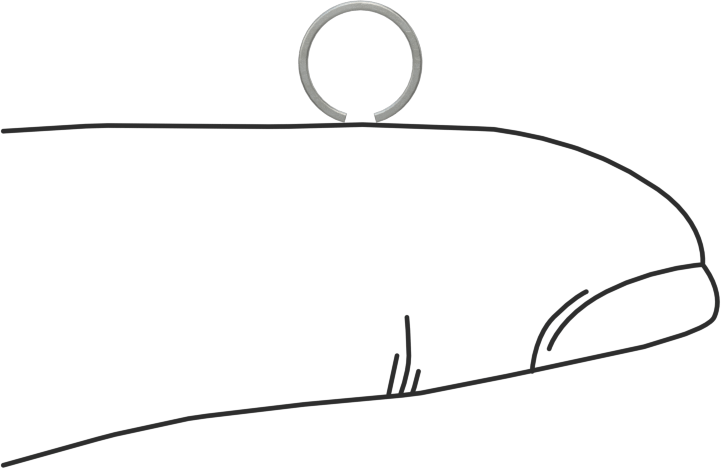 Tek Turlu Spiral İç Segmanlar, 1/4" İç Çap için, 1060-1090 Yay Çeliği