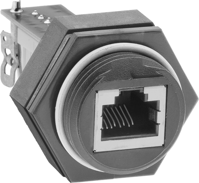 Islak Ortam Veri Kablosu, 110 Punch-Down Bağlantılı Vidalı RJ45 Soket — 5e, Korumasız, 8