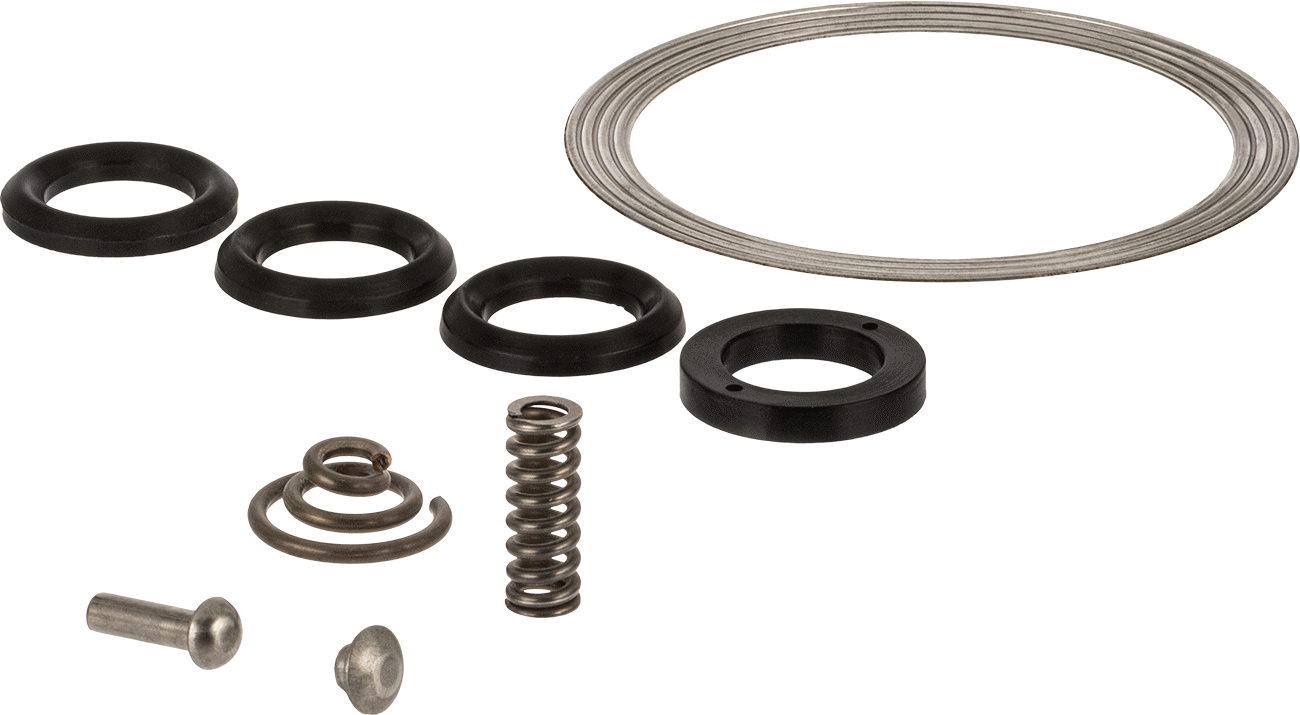 Debi Kontrol Valfleri için Tamir Kiti, Everlasting Valve Company Model Numarası Kita114250 — Everlasting Valve Company, 4000-A 1 1/4 NPT,…