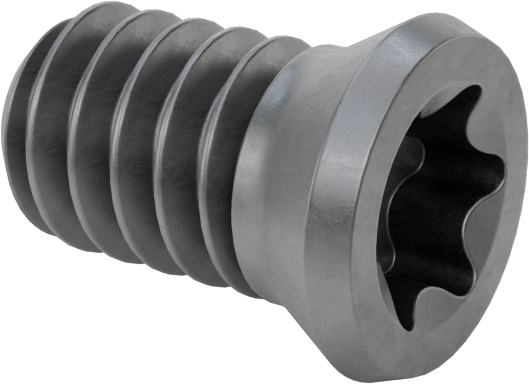 Fcud Delme Karbür Uç Tutucular için Mts-224 Torx Vida — Torx Vida