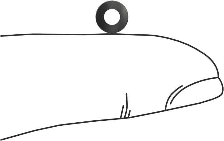 Kavisli Disk Yaylar, 3/32" Mil Çapı için, 0.11" İç Çap, 0.225" Dış Çap, 0.004 inç Kalınlık