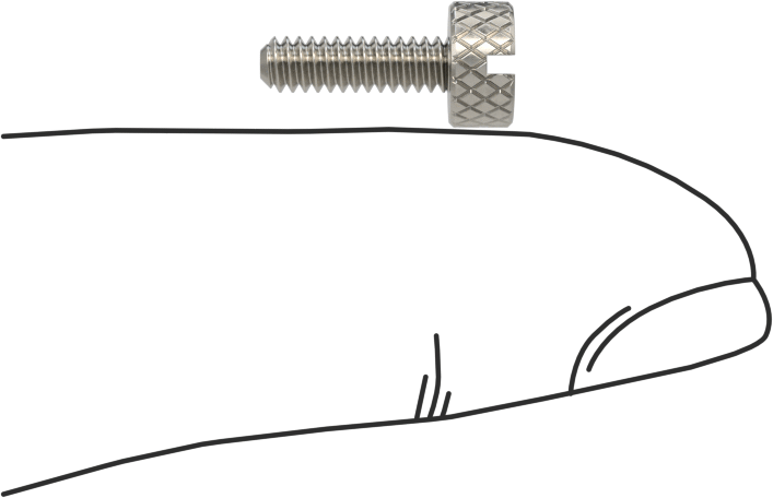 Tırtıllı Başlı El Vidası, Yarık, Dar, 4-40 Diş Boyutu, 3/8" Uzunluk