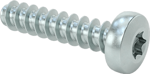 Yuvarlak Başlı Diş Açıcı Vidalar, Torx, Çinko Kaplı Çelik