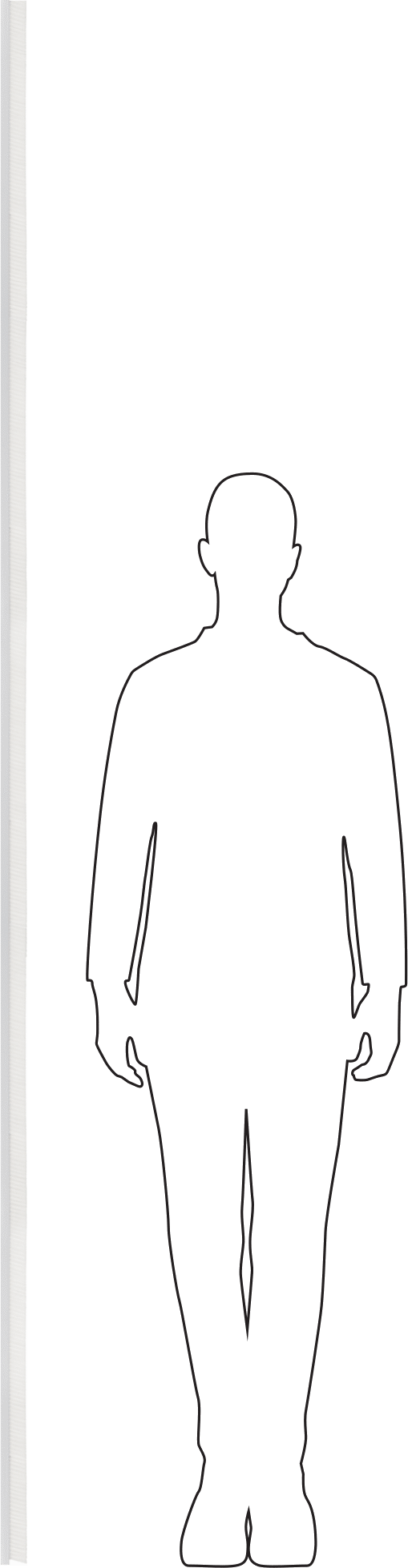 Konveyör Kılavuzu için 8 Fit Uzunlukta Fırça