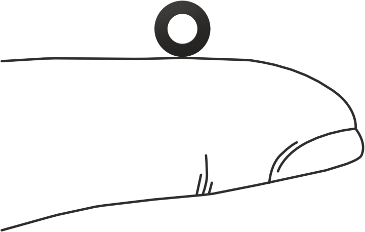 Belleville Disk Yayı, 3 mm Mil Çapı için, 3.200 mm İç Çap, 6 mm Dış Çap, 0.3 mm Kalınlık