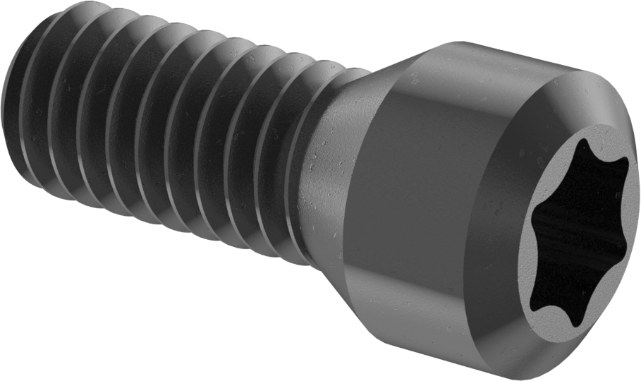 1/4" IC Çaplı Karbür Uç Tutucu için Torx Vida — Torx Vida