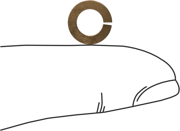 Silikon Bronz Yaylı Pul, 12 Numaralı Vida Boyutu için, 0.227" İç Çap, 0.377" Dış Çap
