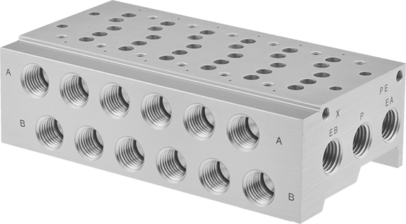 1/4 NPT Manifold