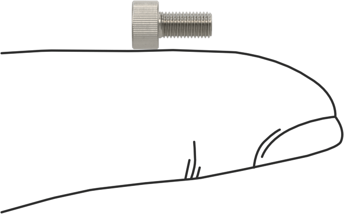 18-8 Paslanmaz Çelik Lokma Başlı Vidalar, M3 x 0.35 mm Diş, 6 mm Uzunluk