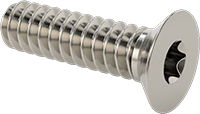 18-8 Paslanmaz Çelik Torx Havşa Başlı Vidalar