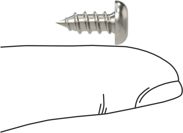 Sac Metal için Kare Tahrikli Yuvarlak Başlı Vidalar, Süper Paslanma ve Aşınmaya Dayanıklı 316 Paslanmaz Çelik, 10 Numaralı Boyut, 1/2" Uzunluk